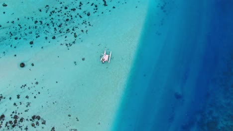 Drone-shot,-Sharks-with-Boot-Moorea-French-Polynesia