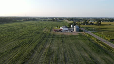 Farmstead-with-silos-growing-soybeans-in-massive-green-field,-aerial-view