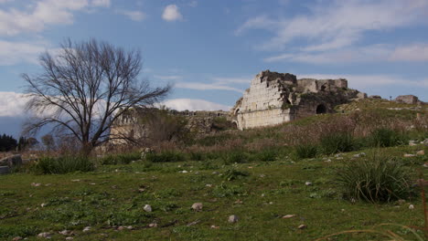 Ancient-theater-in-a-field-in-Miletus