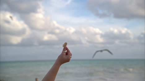 Slow-motion-close-up-a-female-hand-raised-up-with-a-piece-of-bread-trying-to-feed-seagulls-in-the-air