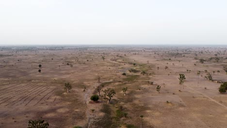 Aufschlussreiche-Drohnenaufnahme-Verstreuter-Affenbrotbäume-In-Der-Wüste-Senegals