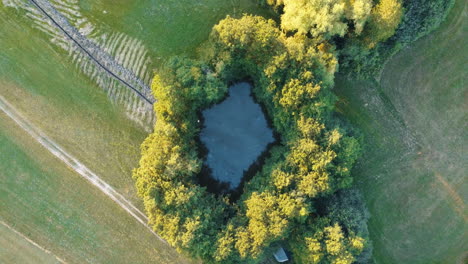 Drone-captures-the-beauty-of-a-tranquil-pond-surrounded-by-trees-in-Bavaria's-fields