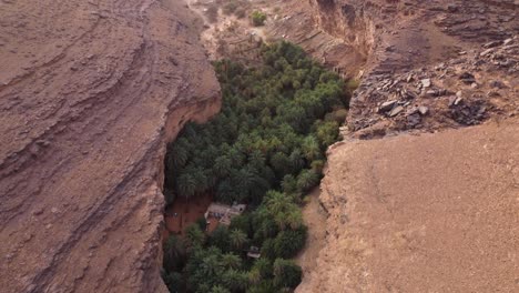 Drone-shot-of-a-beautiful-desert-oasis-in-Terjit,-Mauritania