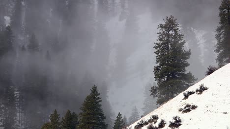 Freezing-Fog-At-Boise-National-Forest-During-Winter-In-Idaho,-USA