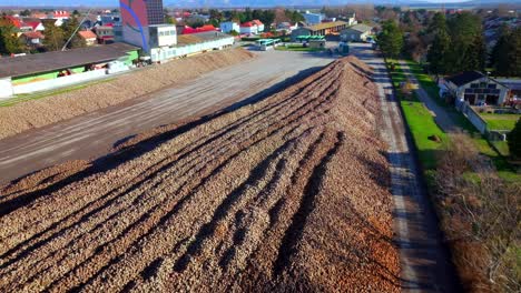 Rows-Of-Harvested-Sugar-Beet-Pile-On-The-Ground---Aerial-Drone-Shot