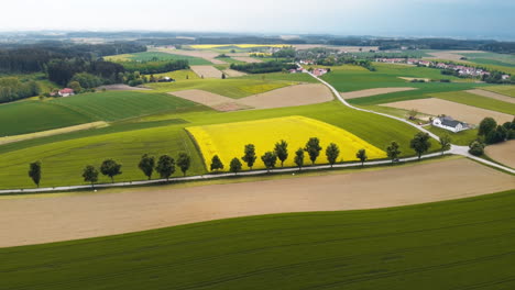 Embark-on-a-whimsical-journey-as-the-drone-gracefully-skims-over-a-picturesque-Bavarian-field,-revealing-the-artistry-of-cut-grass-and-sprawling-landscapes