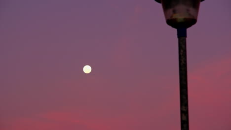 Telephoto-pedestal-shot-of-full-moon-in-twilight-sky-next-to-lamp-post-in-front