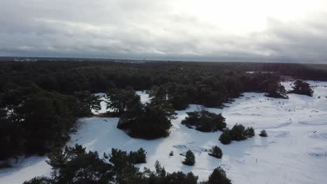 Aerial-over-forest-while-snowing,-winter-landscape