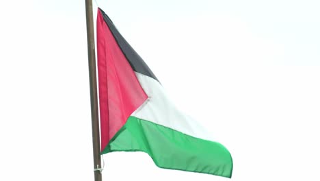 Bandera-Palestina-Ondeando-Al-Viento-En-Un-Asta-De-Bandera-Con-Un-Fondo-Blanco