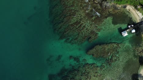 Aerial-Top-View-On-Coral-Reef-Caribbean-Sea