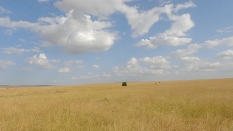 Panorama-Des-Riesigen-Graslandes-Im-Masai-Mara-Nationalreservat-In-Narok,-Kenia