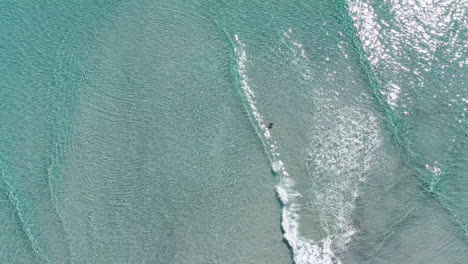 Tasmanian-beach,-waves-from-above