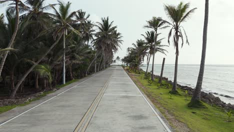 Tropische-Straße-Gesäumt-Von-Palmen-Und-Kokospalmen-Auf-Der-Insel-San-Andres,-Luftaufnahme