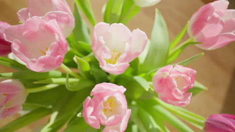 Primer-Plano-De-Delicados-Tulipanes-Rosados-Con-Una-Luz-Suave