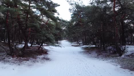 Aerial-view-through-forest-pathway-entrance-covered-in-snow,-winter-landscape