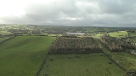 Lush-green-fields-and-farmlands-in-County-Cavan,-Ireland,-under-a-cloudy-sky,-aerial-view