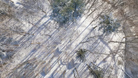 Drone-glides-over-snow-blanketed-forest-and-cabins,-casting-long-shadows-in-winter's-glow