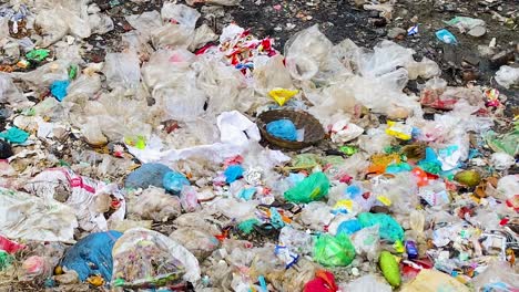 Müllcontainer-Voller-Plastik--Und-Biomüll