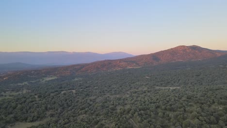 drone-flight-at-sunset-in-the-golden-hour-over-a-forest-viewing-a-hill-with-a-background-of-mountains