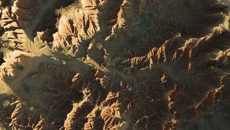 Tatacoa-Desert-Landscape,-Breathtaking-Top-Down-Aerial-View