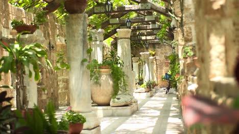 A-white-stone-corridor-of-a-botanical-garden