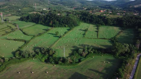 Ancient-Roman-Aqueduct-in-the-lush-fields-of-Monitola,-Lazio,-Italy,-during-the-day,-aerial-view