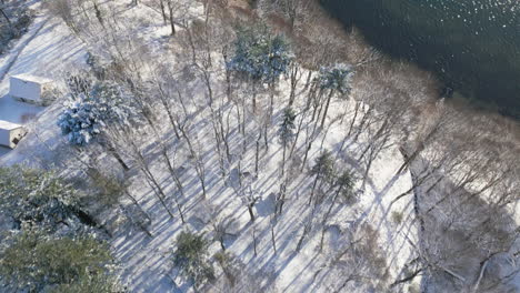 Overhead-view-of-a-snow-dusted-forest-by-a-calm-lake,-winter-tranquility-from-above