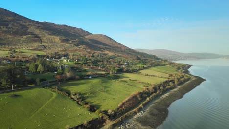 Carlingford-Lough,-lush-green-fields-in-County-Louth-near-Omeath-and-Dundalk,-Ireland,-aerial-view