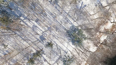 Aerial-view-of-a-snowy-forest-in-winter