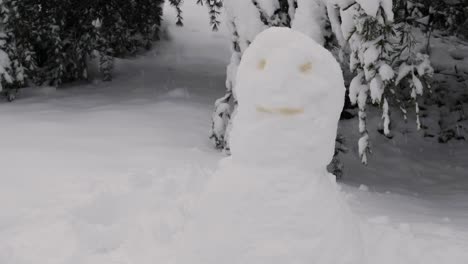 Snowman-Face-Made-With-Pee-In-Public-Park