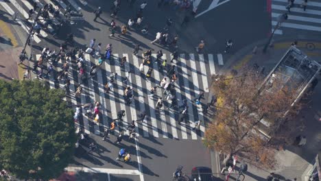 Shibuya-Crossing-in-Japan-with-crowd-of-people-crossing,-sunny-day,-aerial-view