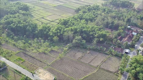 Drone-shot-of-rural-area-and-agricultural-land-in-Blora,-Central-Java,-Indonesia