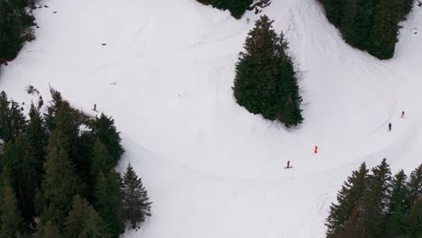 Snowy-skiing-track-with-evergreen-forest,-Switzerland-mountain-resort