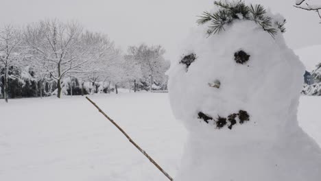 Cute-Snowman-In-The-Park.-Close-Up-Head
