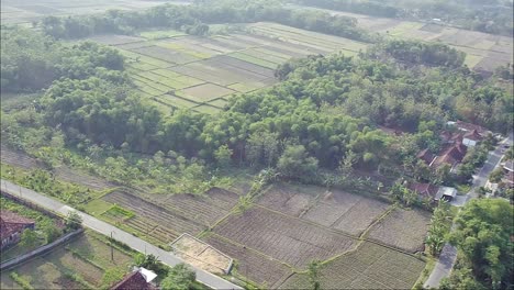 Zona-Remota-Y-Tierras-Agrícolas-En-Blora,-Java-Central,-Indonesia.