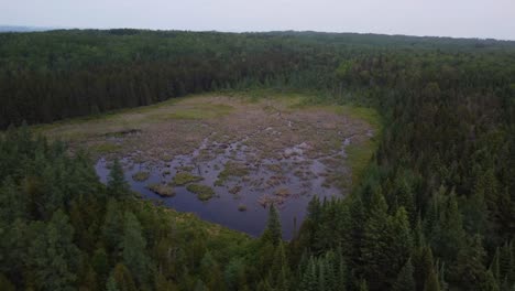 Schwenk-In-Feuchtgebieten-Kanadas