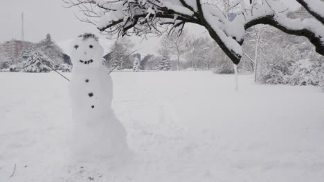 Cute-Snowman-In-The-Park-On-A-Snowy-Day