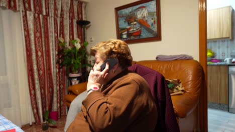 Ältere-Frau-Unterhält-Sich-Zu-Hause-Auf-Dem-Mobiltelefon