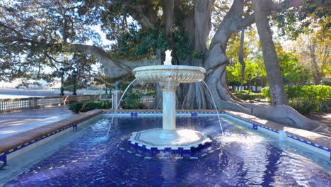 A-tranquil-fountain-centered-in-a-blue-tiled-pool-with-water-gently-cascading-down-its-tiers,-set-against-a-backdrop-of-an-old-majestic-tree-and-clear-skies-in-Cadiz,-Spain