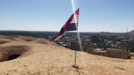 View-of-Egypt-flag-in-the-desert-overlooking-a-group-of-trees,-close-up-shot,-static-shot