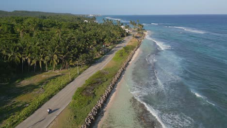 Aerial-View-of-Coastal-Road-with-Palm-Trees