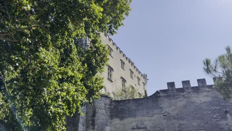 Stadtmauer-Mit-Historischem-Gebäude-In-Frankreich-Mit-Einem-Baum-Im-Vordergrund-Bei-Gutem-Wetter