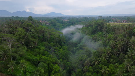 Drohne-Fliegt-über-Den-üppigen-Dschungel-Von-Ubud,-Bali-In-Indonesien