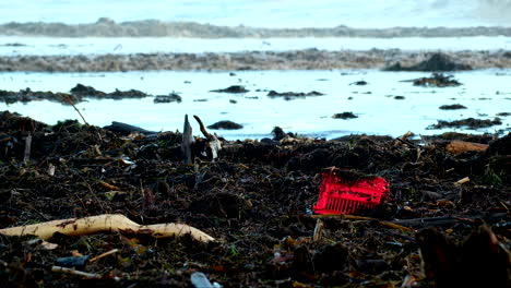 Bright-red-crate-stands-out-among-driftwood-and-plant-matter-debris-on-beach