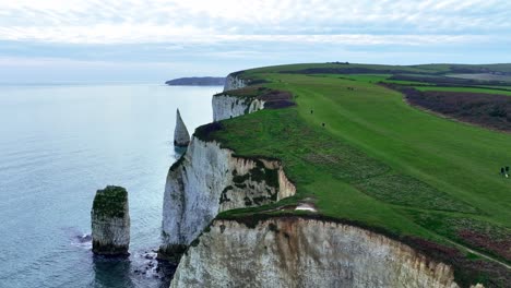 Flying-along-the-cliff-tops-at-Old-harry-Rocs-towards-the-Pinnacle