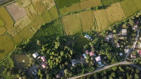 flight-over-forest-to-riverside-rice-paddy-field-tea-plantation-farm-land-old-house-traditional-historical-rural-village-in-mountain-climate-town-in-gilan-rasht-iran-wonderful-city-of-northern
