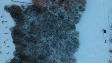 Blick-Aus-Der-Vogelperspektive-Auf-Eine-Dichte-Ansammlung-Winterkahler-Bäume-In-Einer-Schneebedeckten-Landschaft,-Die-Ein-Kompliziertes-Muster-Aus-Ästen-Und-Schatten-Erzeugen