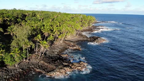 Ascending-over-natural-beach-on-hawaii-island-with-black-volcanic-rock-and-forest