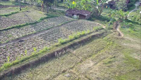 Tierras-Agrícolas-En-Blora,-Java-Central,-Indonesia_tiro-Inclinado-Hacia-Abajo