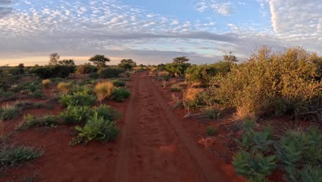 Eine-Zeitreise-Eines-Fahrzeugs,-Das-In-Der-Goldenen-Morgenstunde-Durch-Das-Buschland-Der-Südlichen-Kalahari-Fährt,-Einer-üppigen-Savannenlandschaft